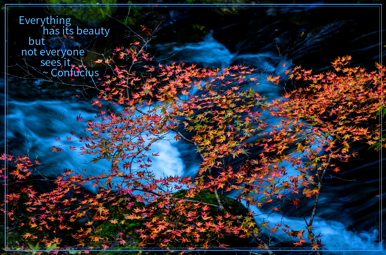 Momiji from kenji sugiura