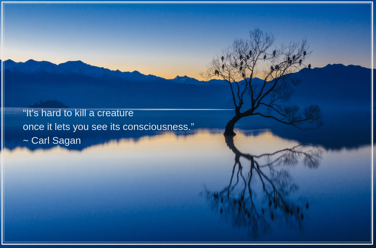 Wanaka lake by César Asensio