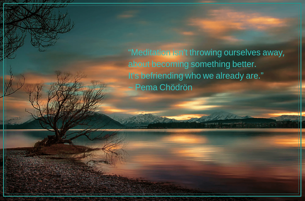 Willows at Wanaka by Edwin Leung