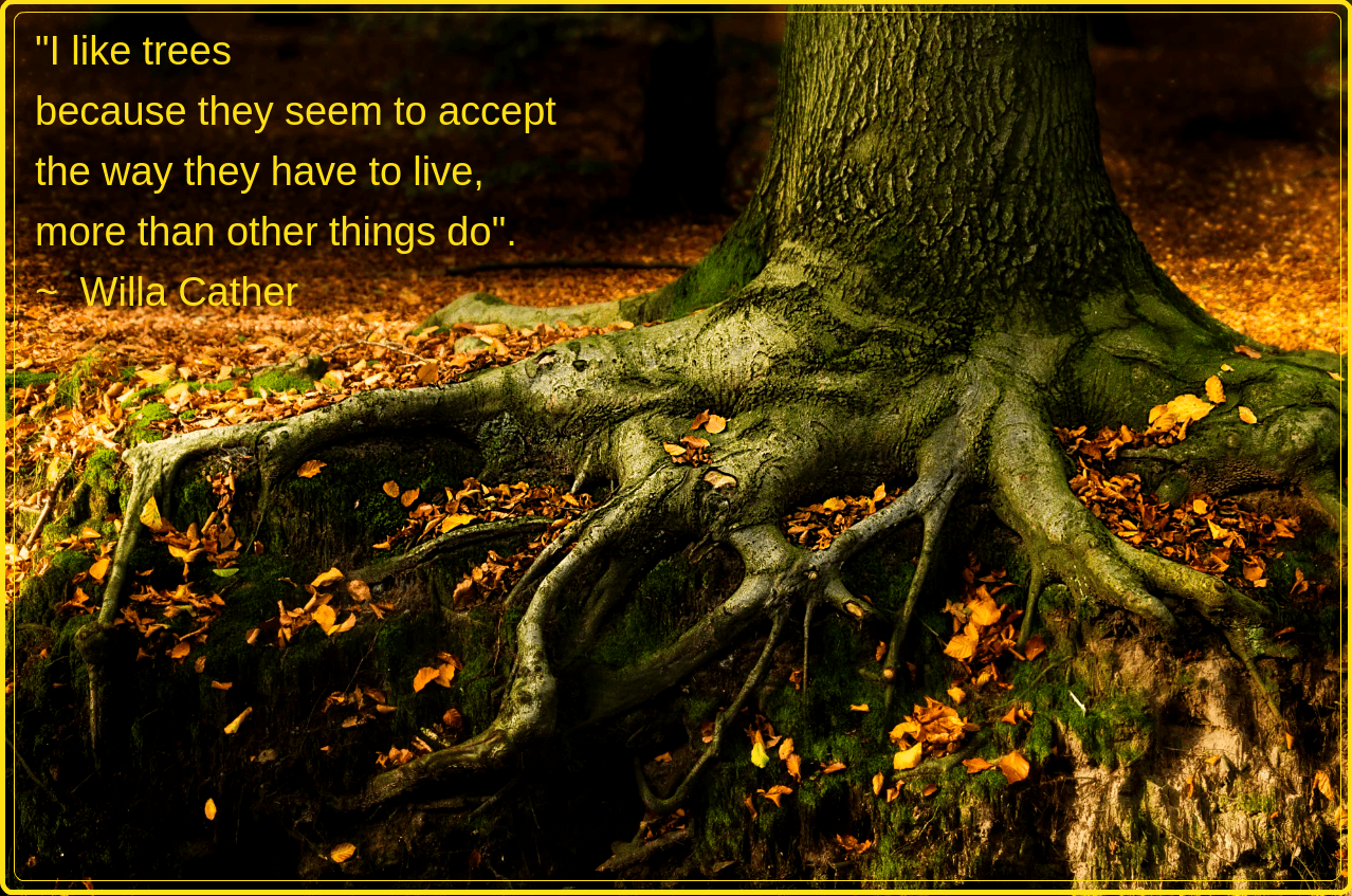 Autumn from Michael Schlitter