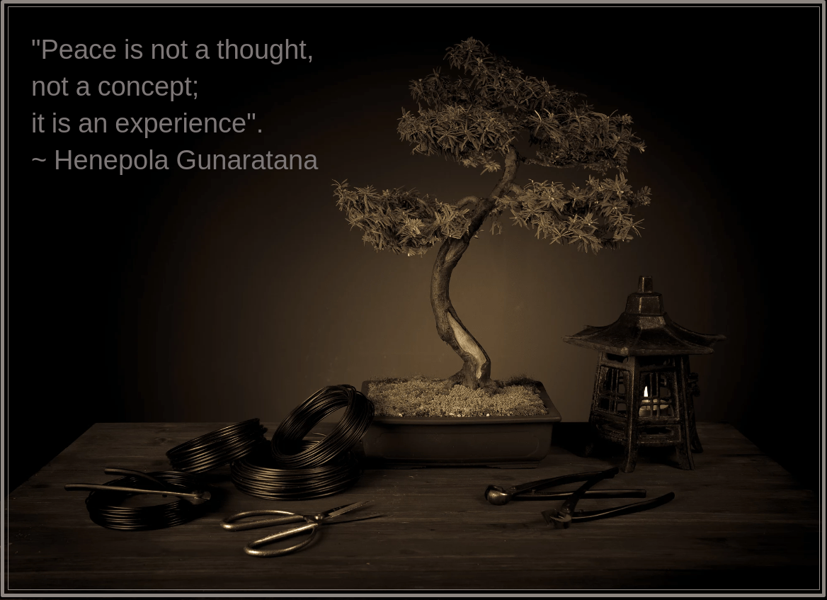 Bonsai from christ van esch