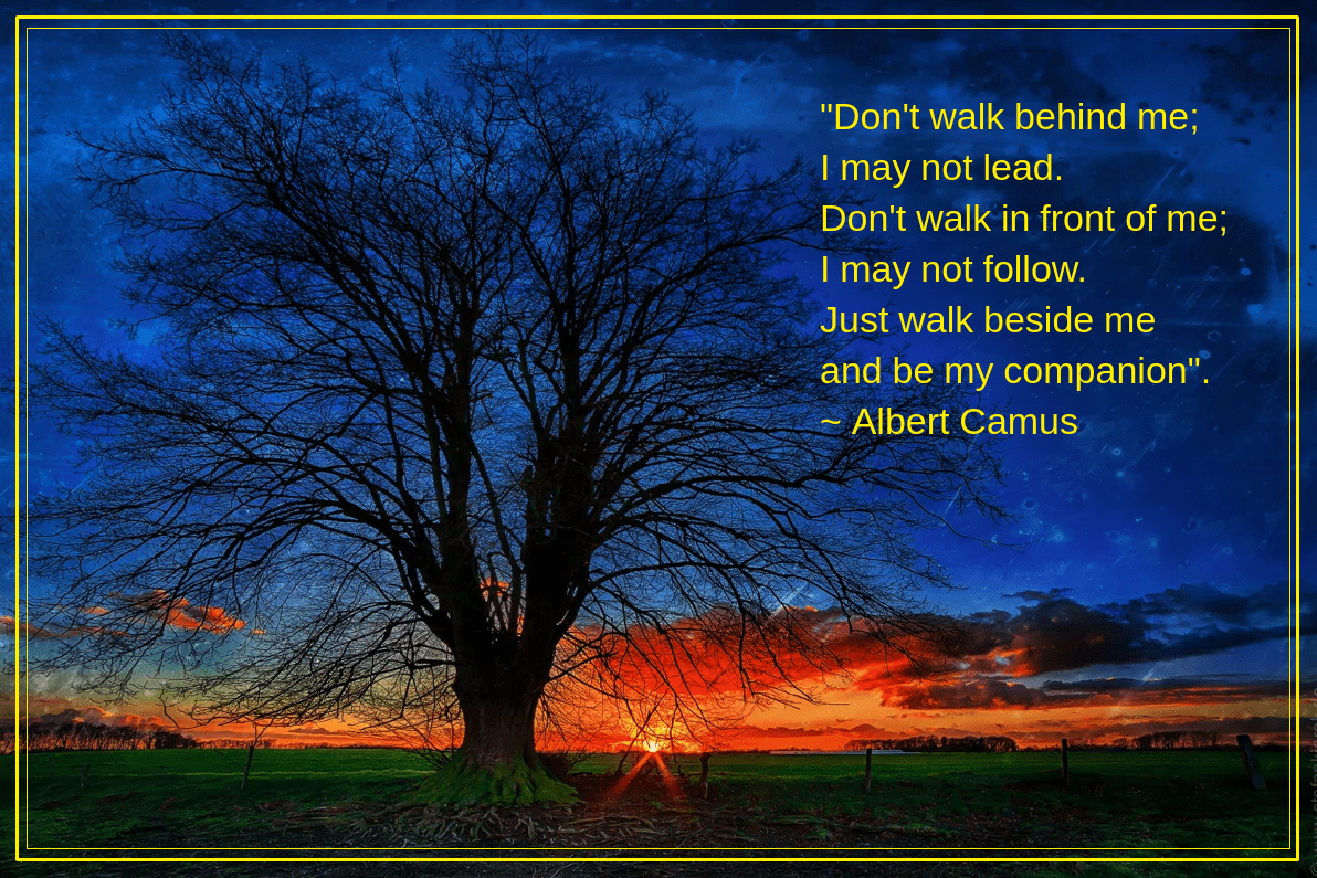 Treescape from Stefan Kierek