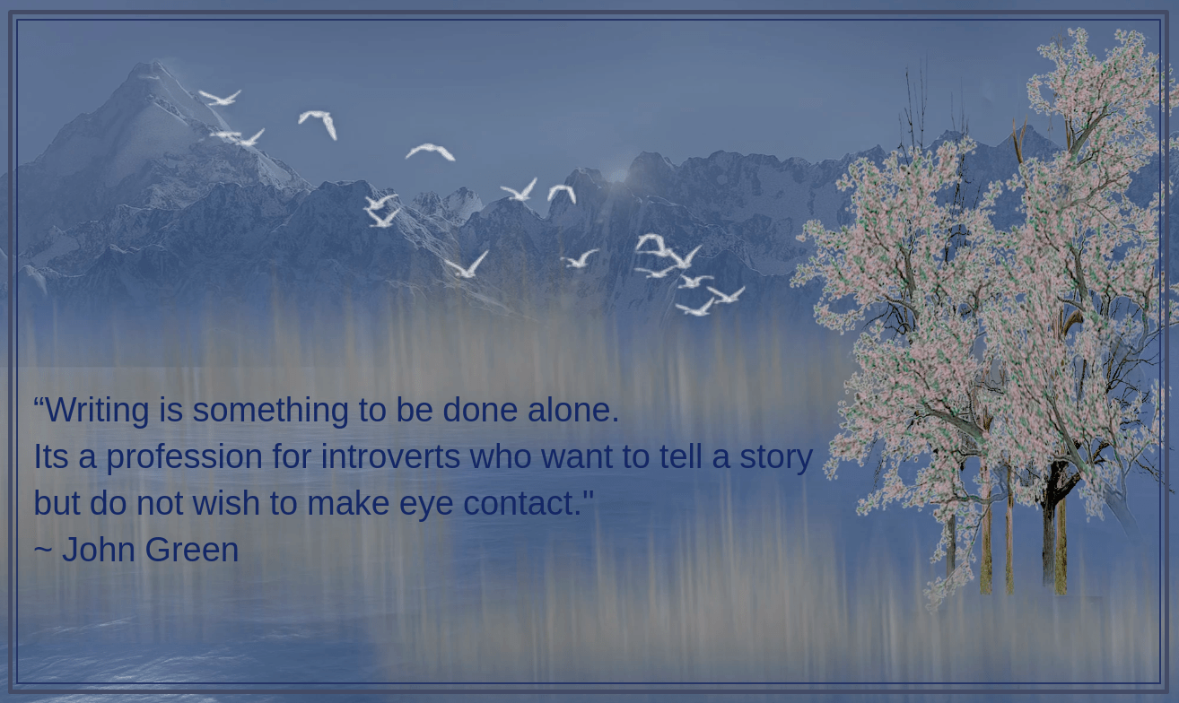 Birds from MMartinez Bayon