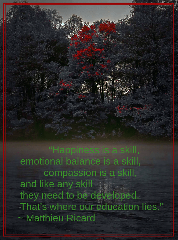 Bosnia river from Mevludin Sejmenovic