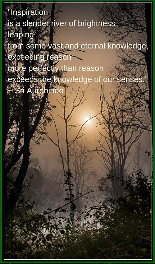 Morning from David Passerat