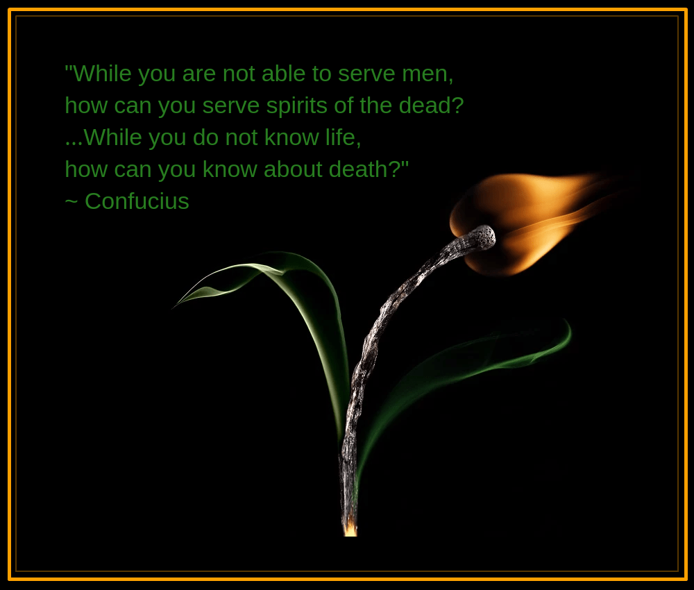 flowers of light from Stanislav Aristov