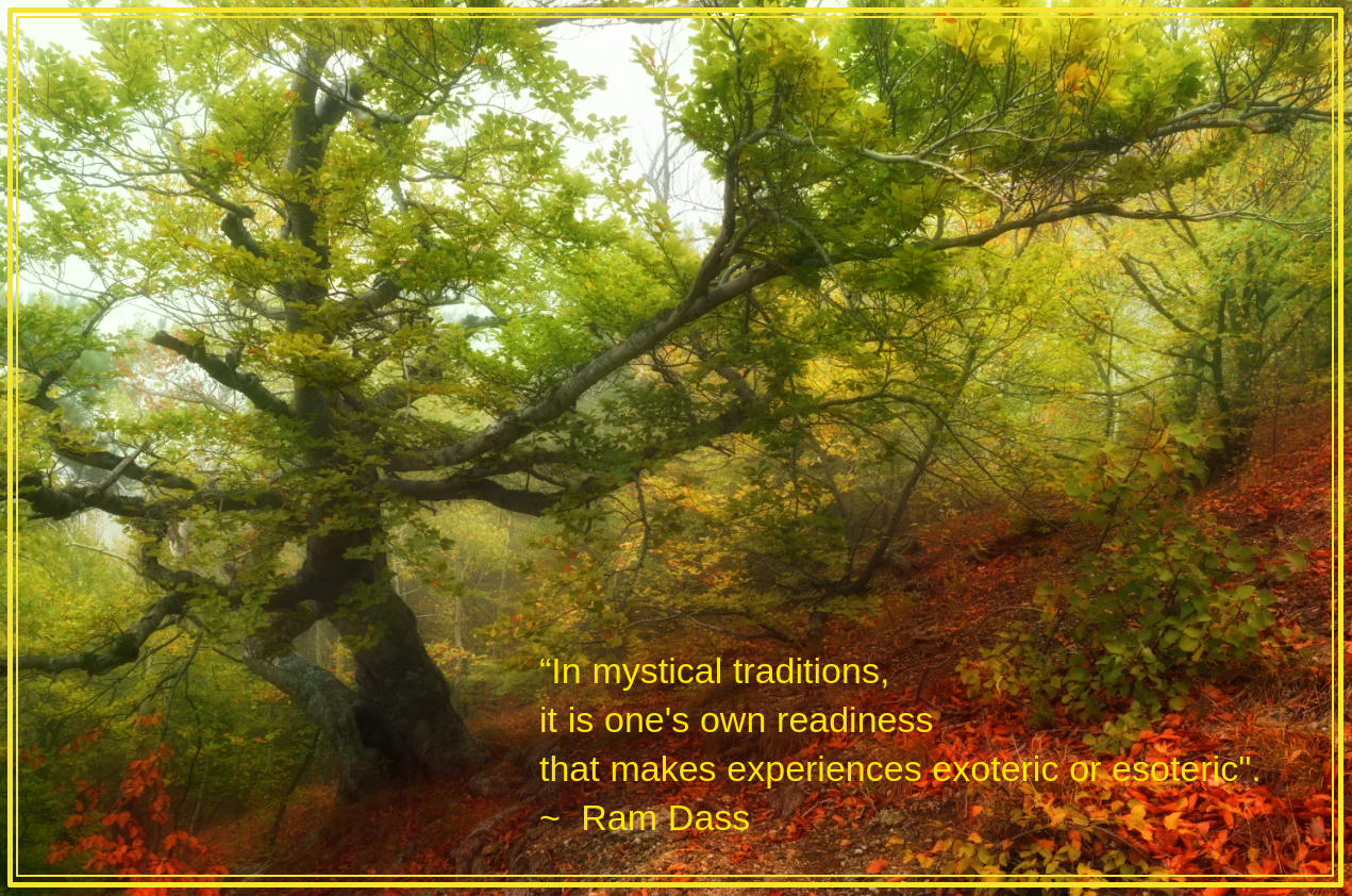 Forest from Andrey Dushankin