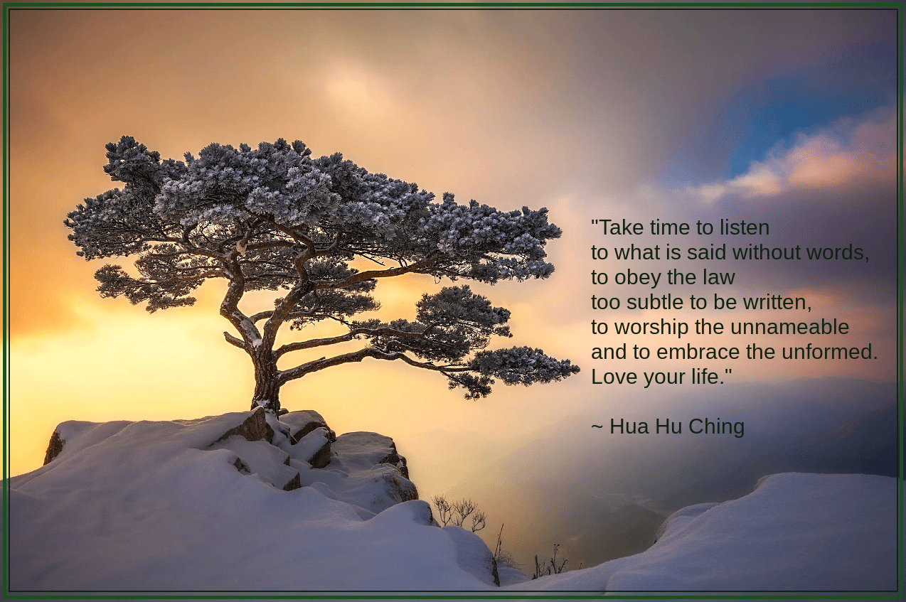 Tree from Nathaniel Merz