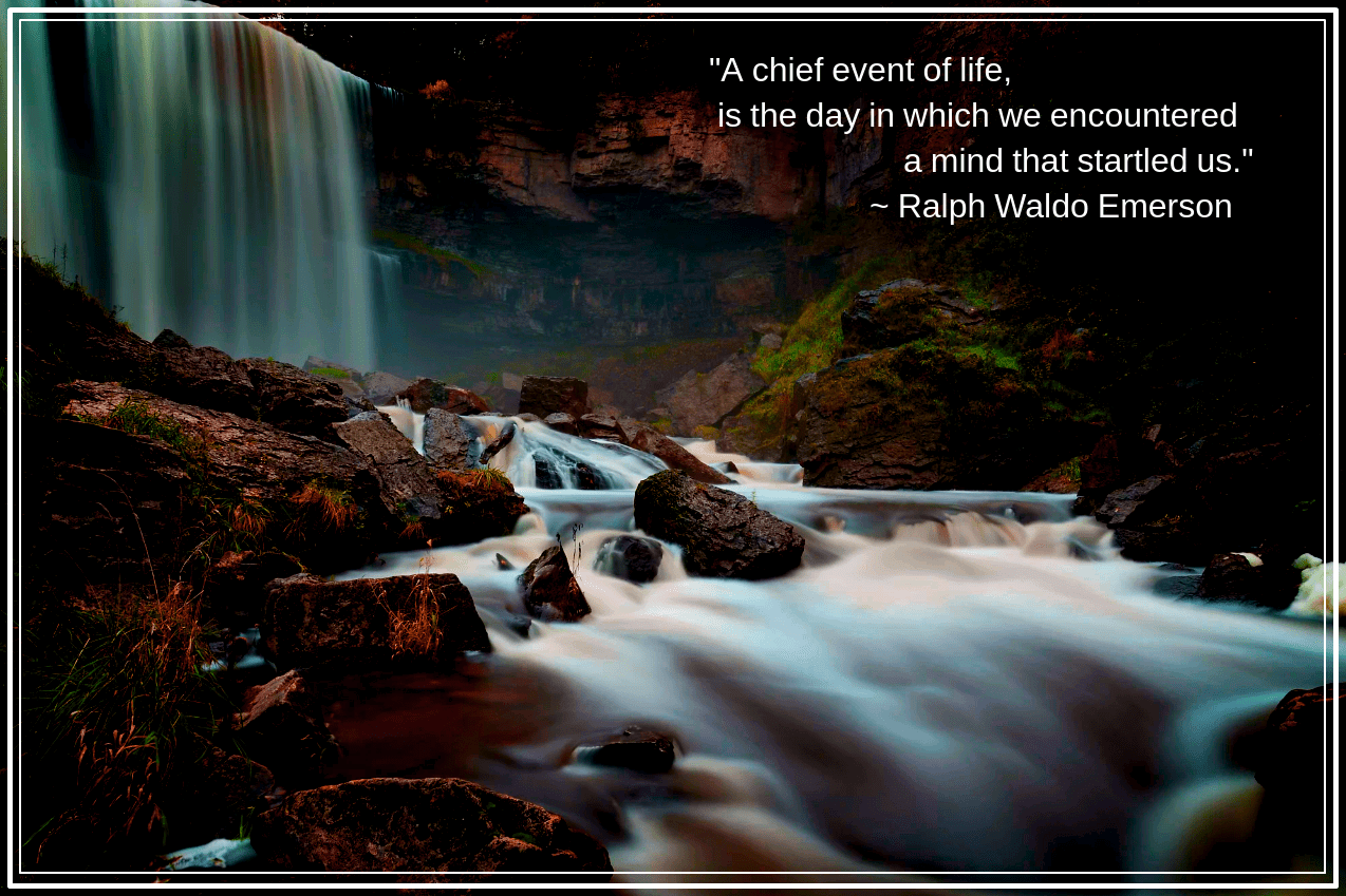 Webster falls from Dana McMullen