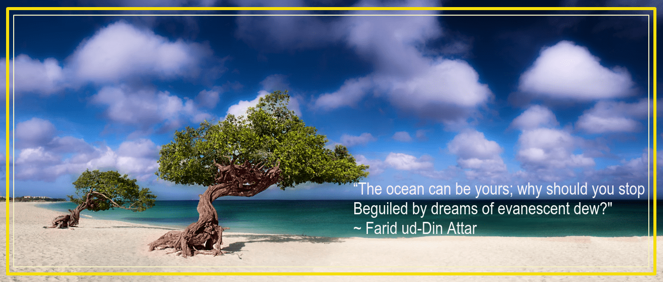 Divi Divi trees Aruba from Greg Gibb