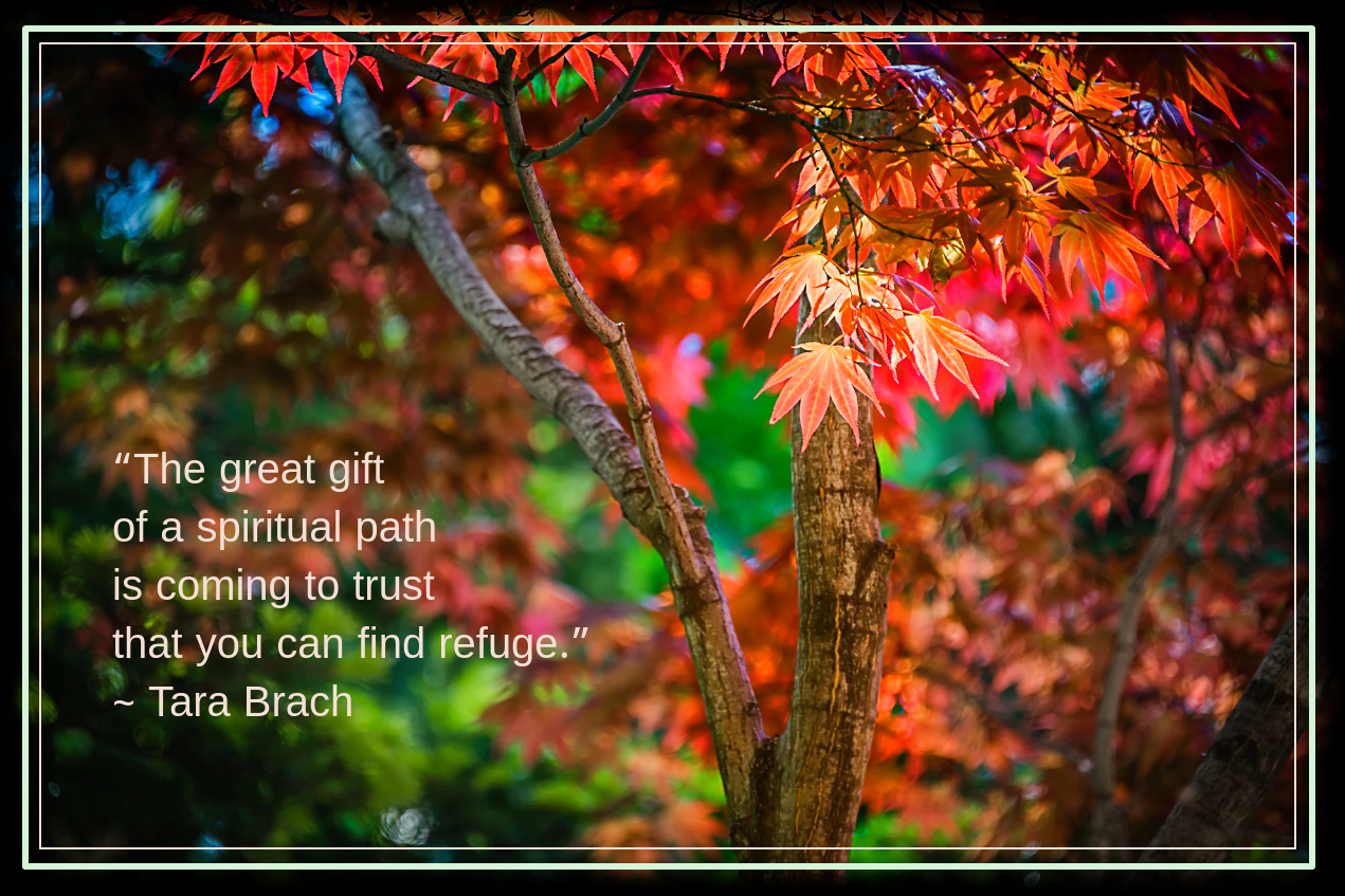 Autumn from Terence Lee