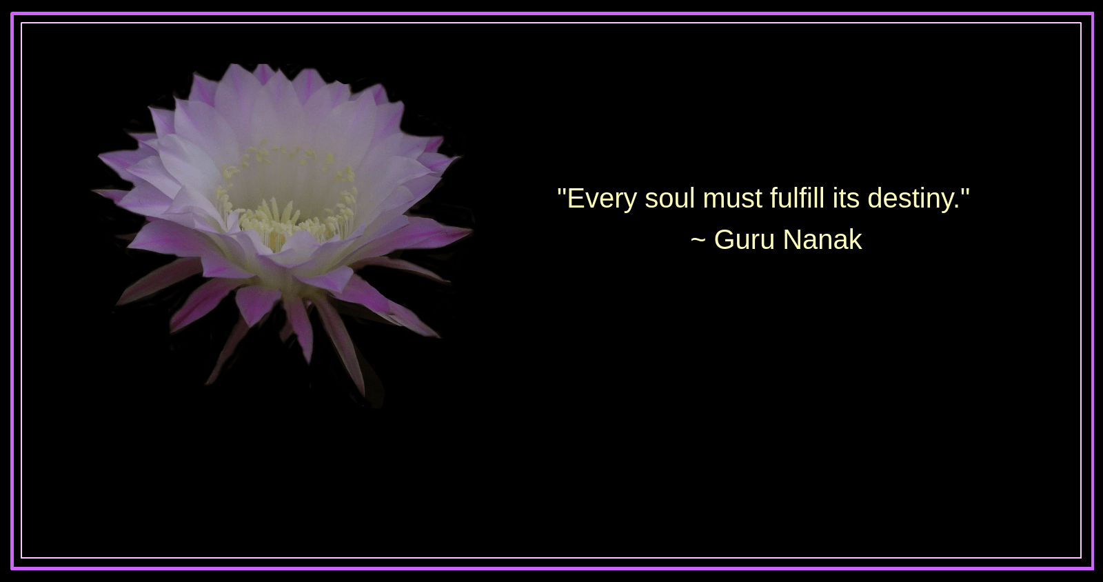 Belle from Ruth Jolly