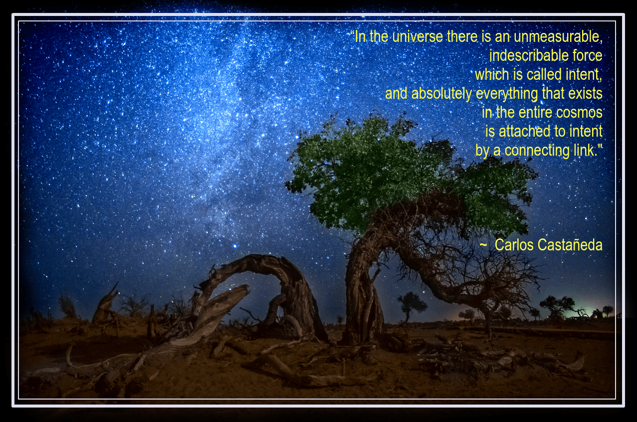 Ejina Qi from Haoyu Wang