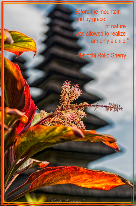 Taman Ayun Temple by lchemont