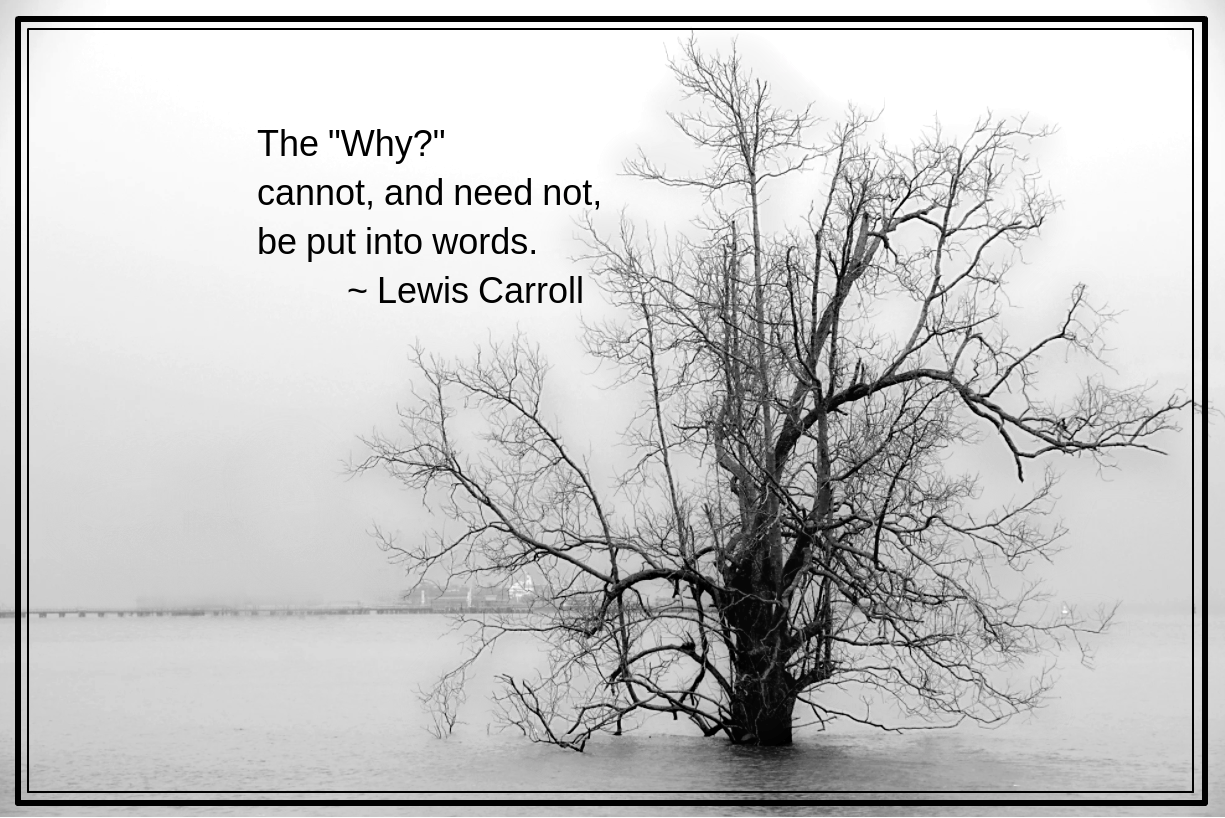 east ubin island from Goh Raymond