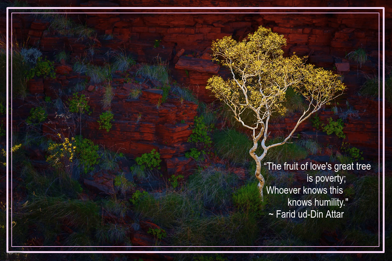 Karijini National Park Western Australia by Konstantin Iagoudine