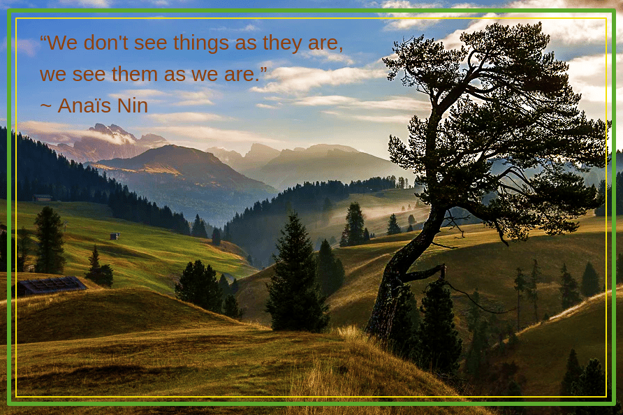 Meadow from Hans Kruse