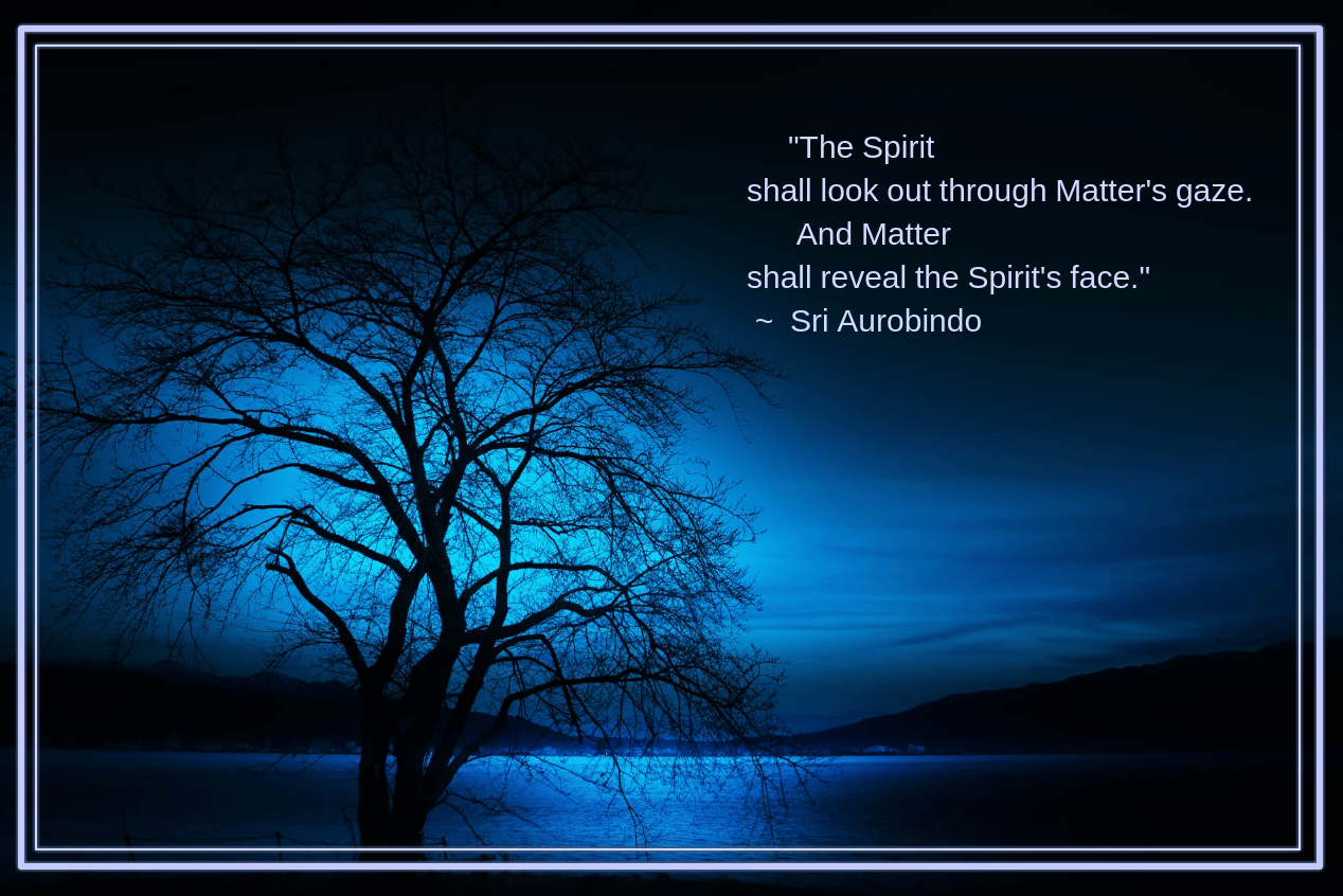 Moonlit from Shigeru Okubo