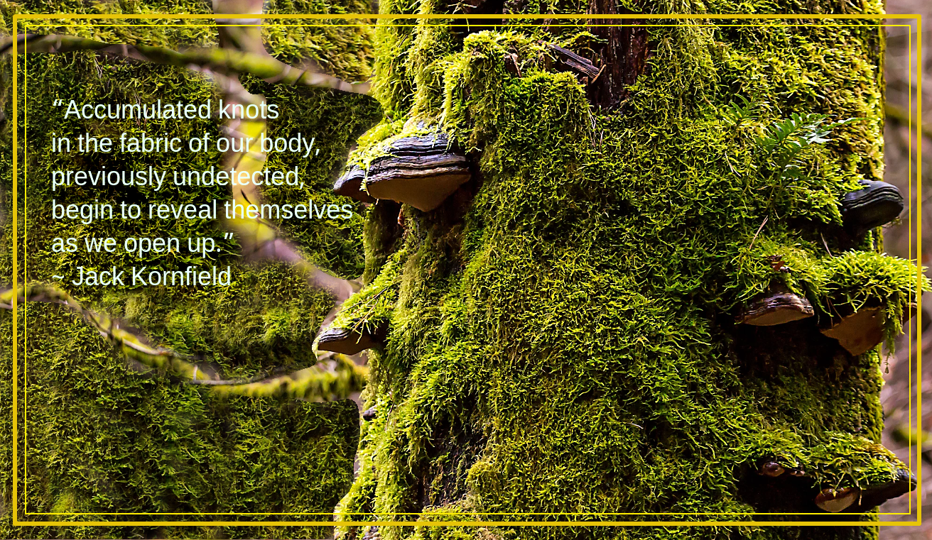 Moss from Tim Duwaerts