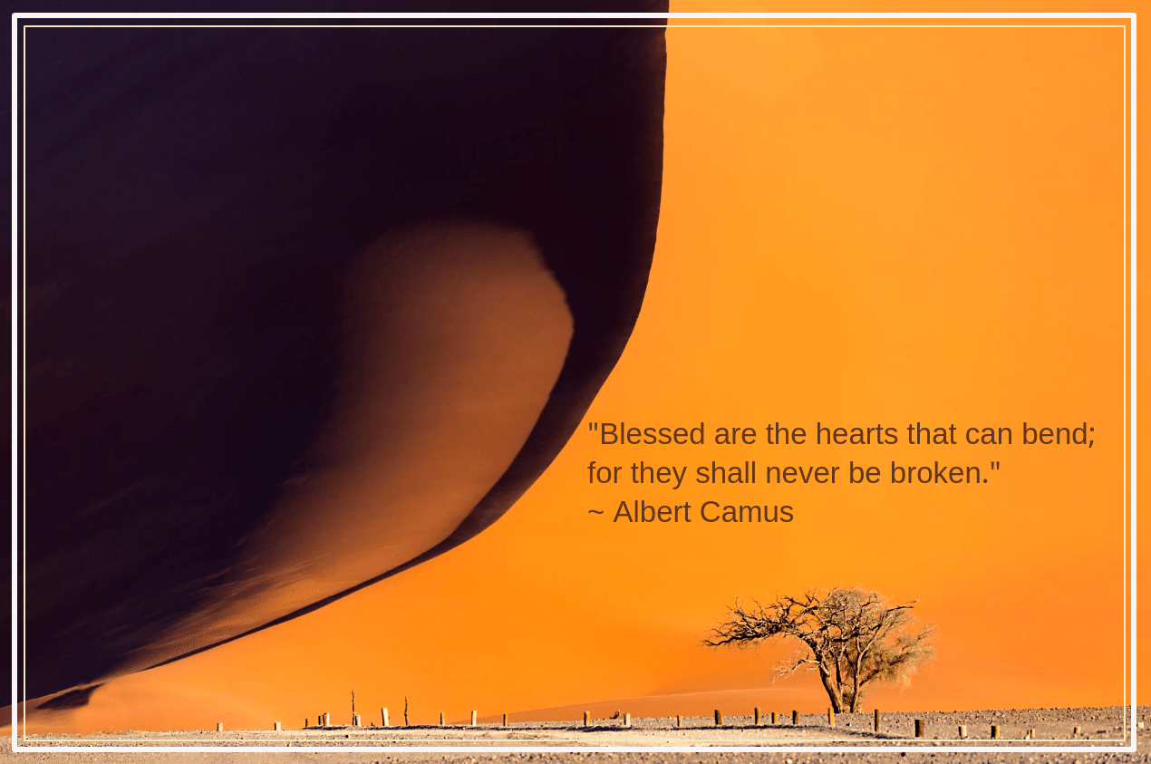 Namib desert from Francesco Riccardo Iacomino