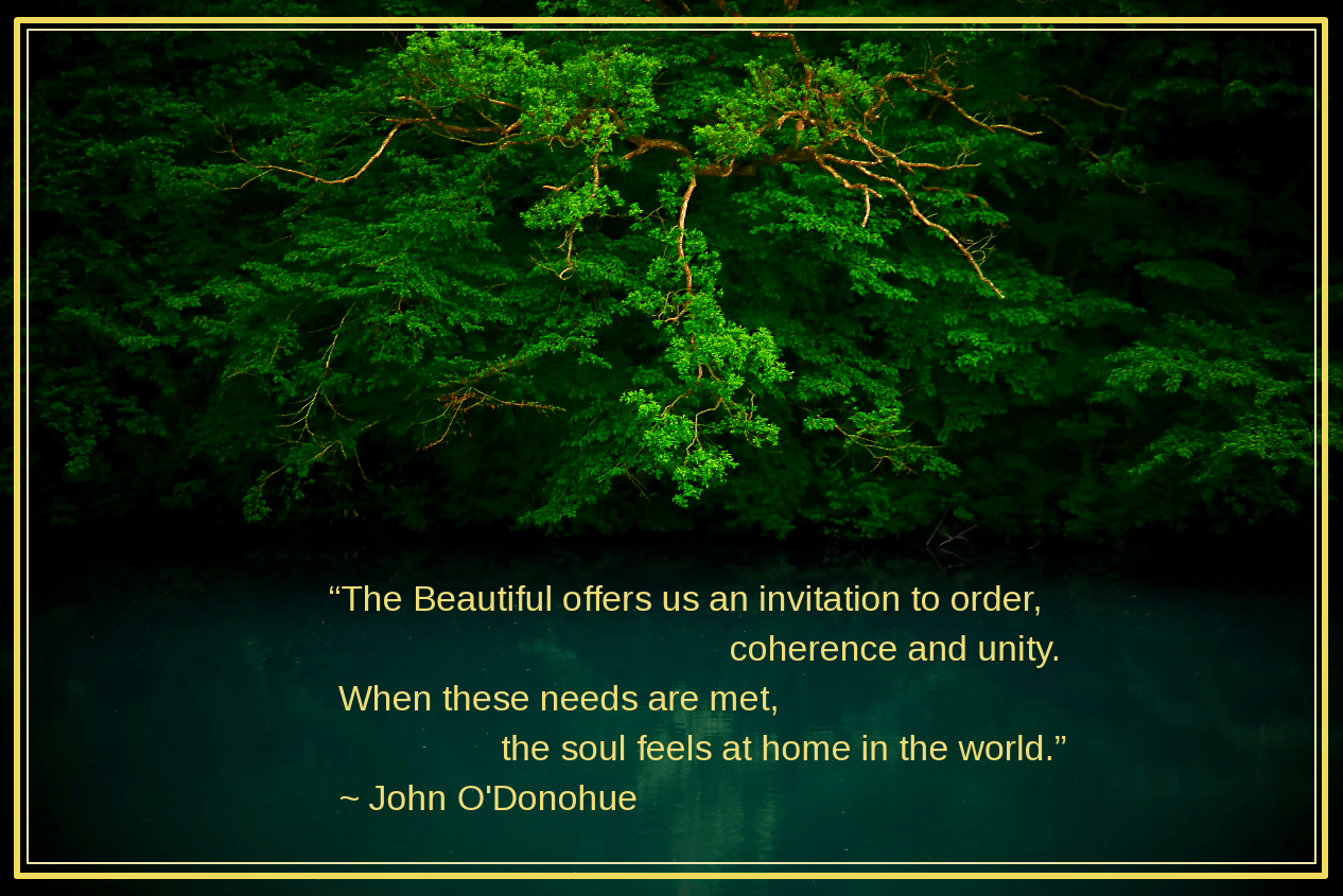 Pond from Teruo Araya