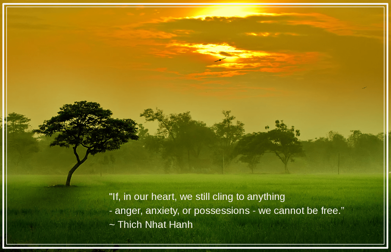 rice paddy from Herry Faizal