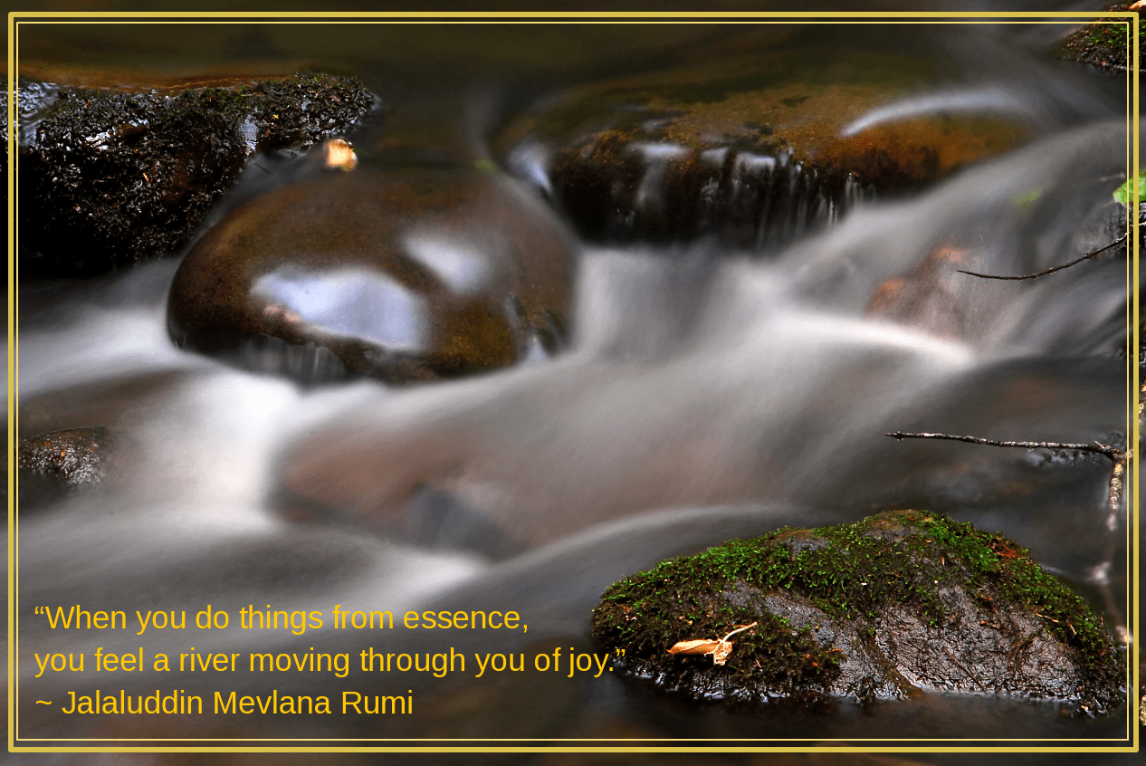 Smoky mountain stream by Andy Crawford