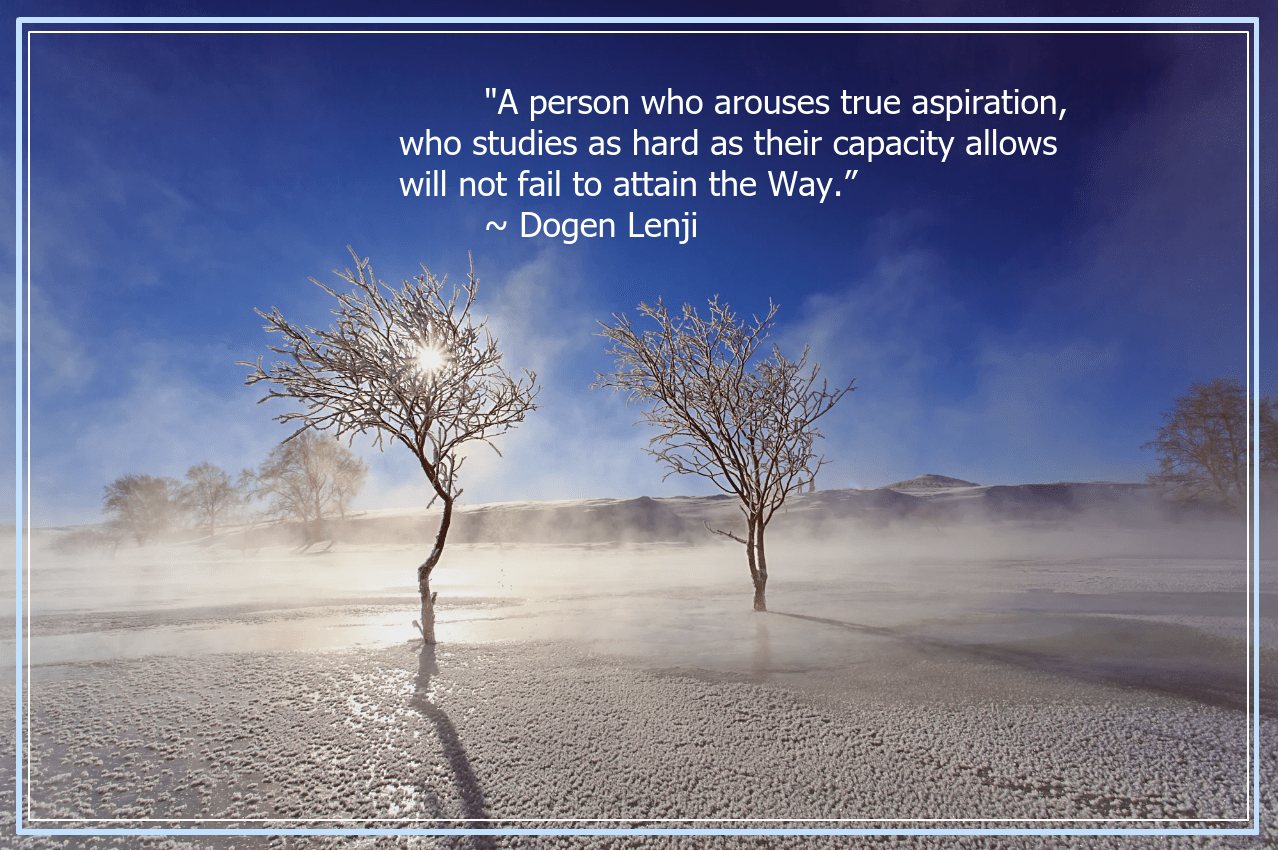 WInter from Bobby Chen