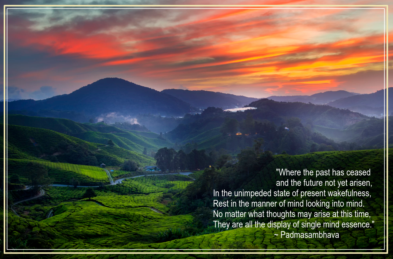 Boh from Kin Wah Joseph WongKin