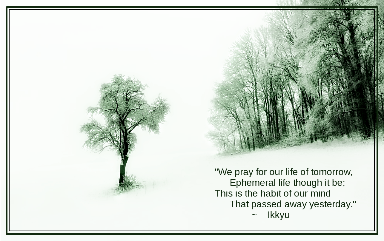 Hitori Tatsu from Selenium Ards