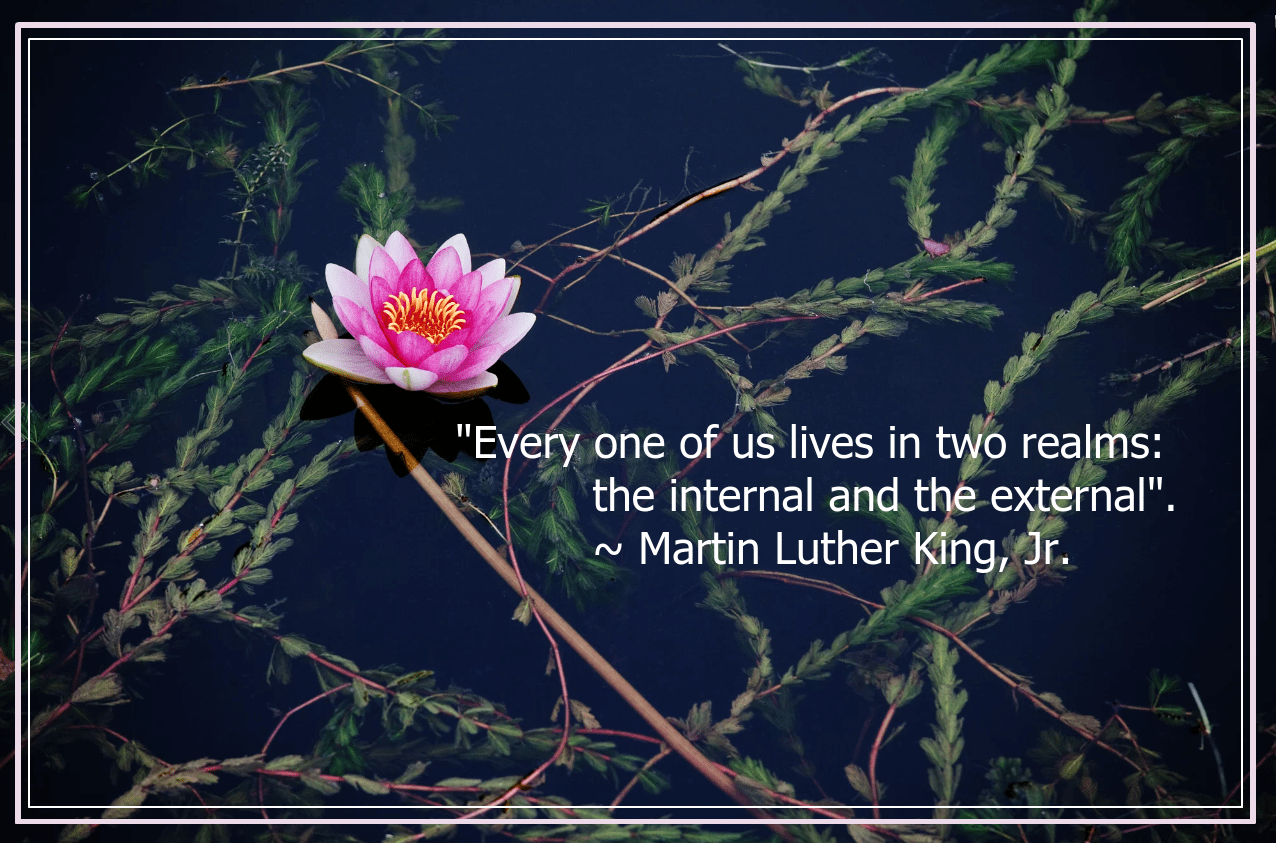 Lotus from rongping luo