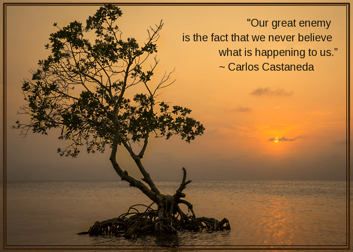 Belize from Matt Williams