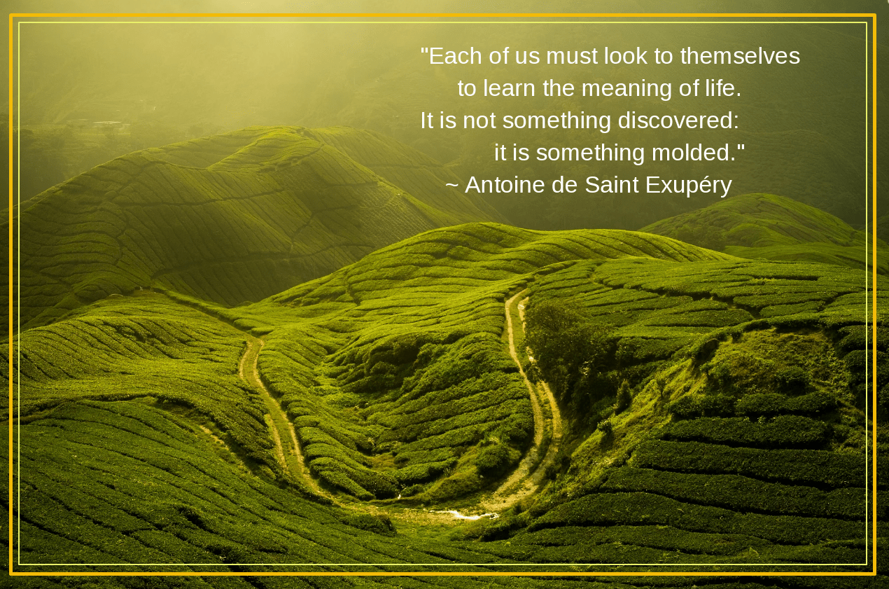 Boh from Puripat Lertpunyaroj