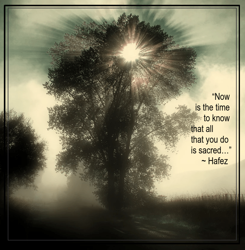 Fog from Peter Kurdulija