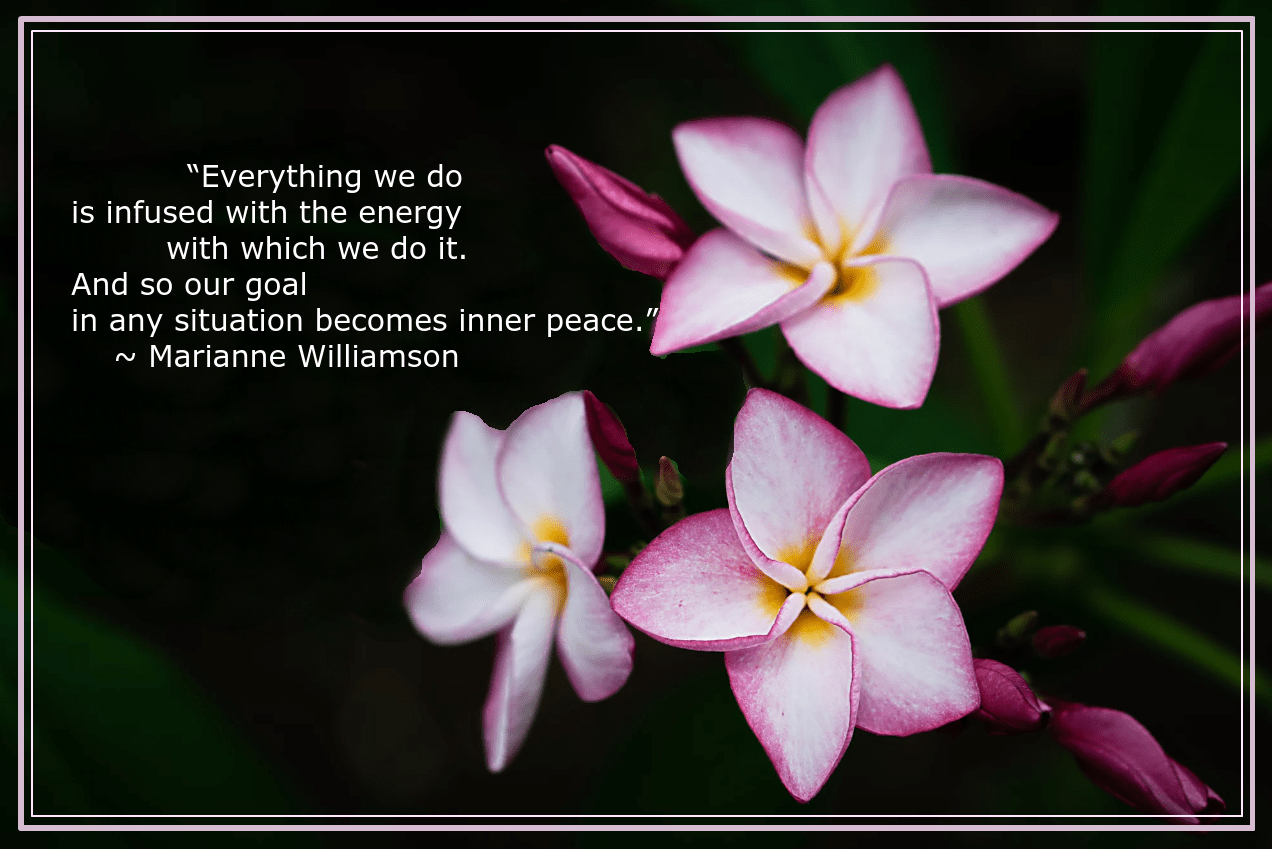 Frangipani from Anh Khoa Tran