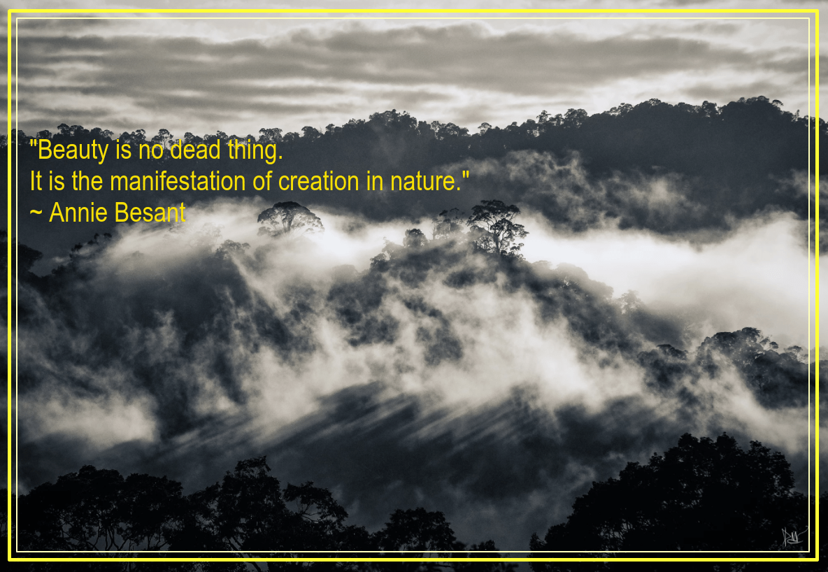 Temburong Brunei from Dean Mullin