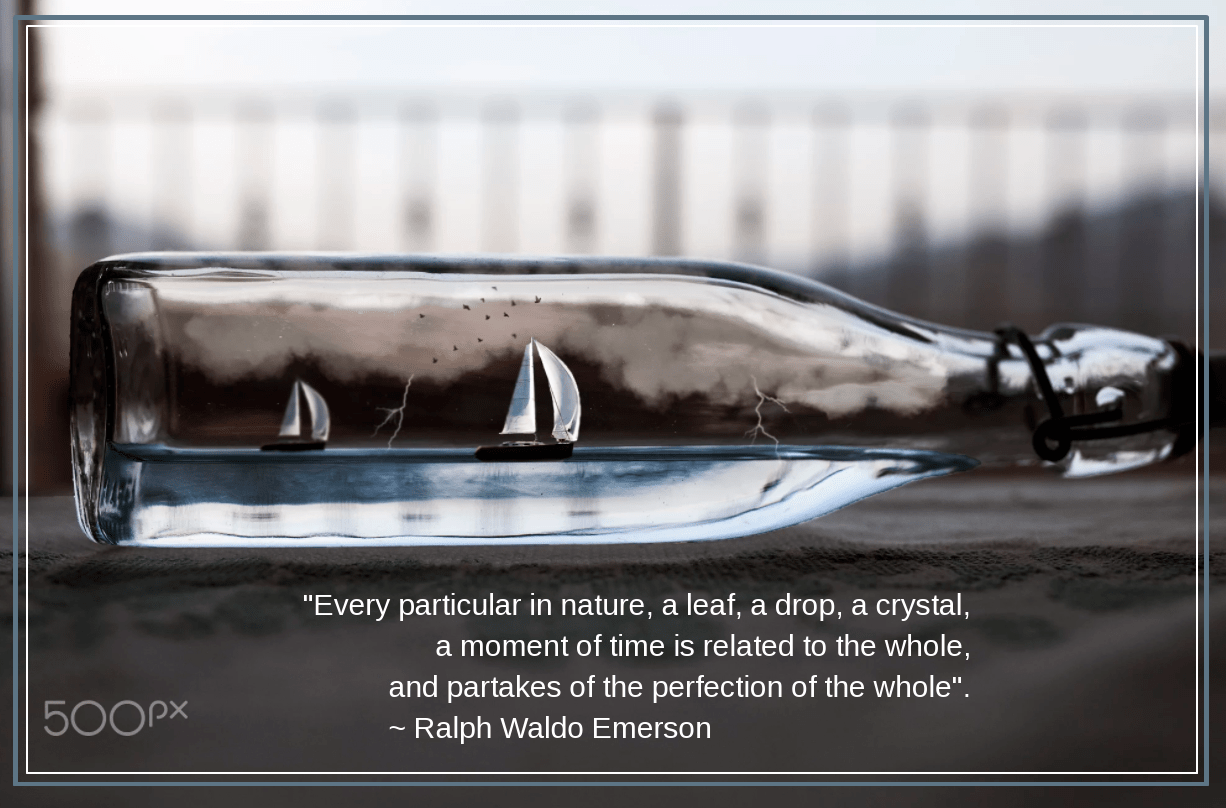 World view from Valentino Grassi