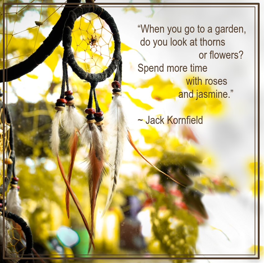 Dreamcatchedr from Abhinay Nawani