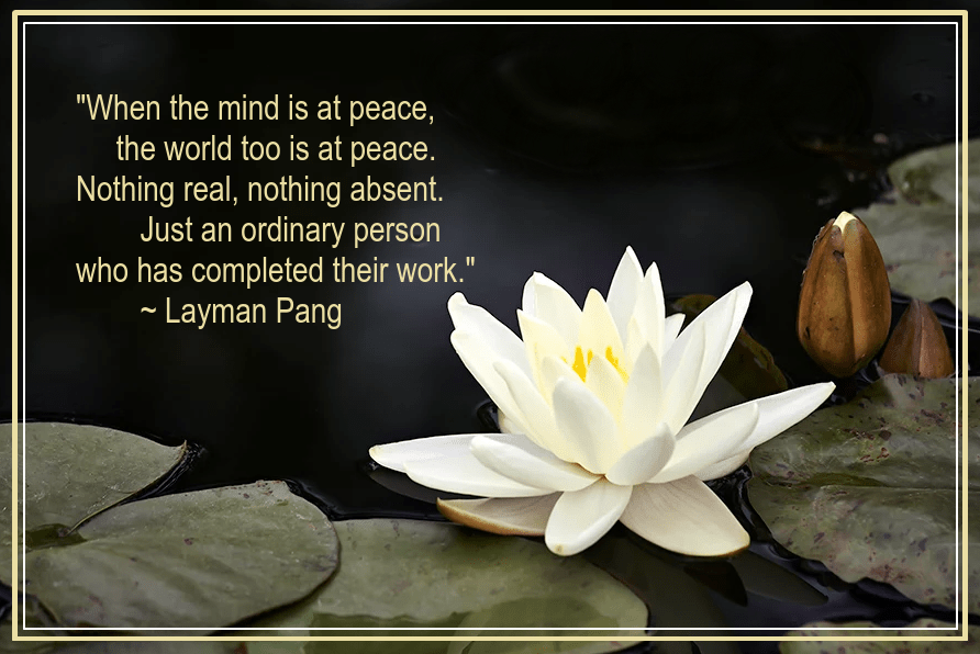 Lotus from iris photoimages