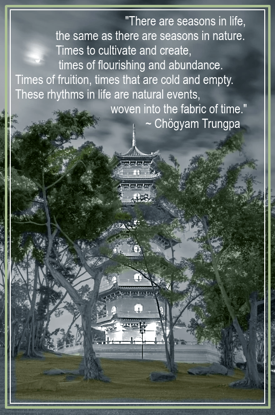 Chinese gardens from Chris Macca