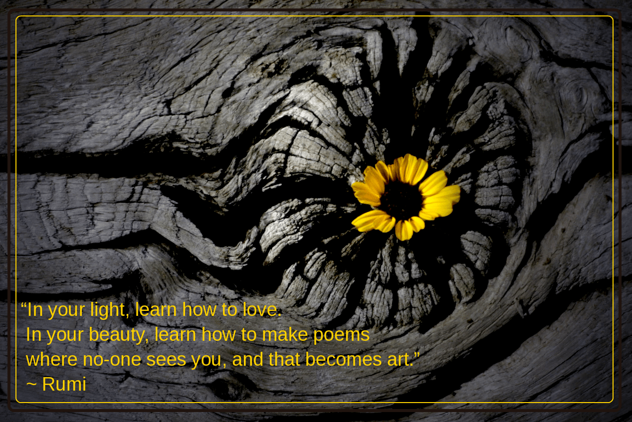 Drifter from Charlie Abbott