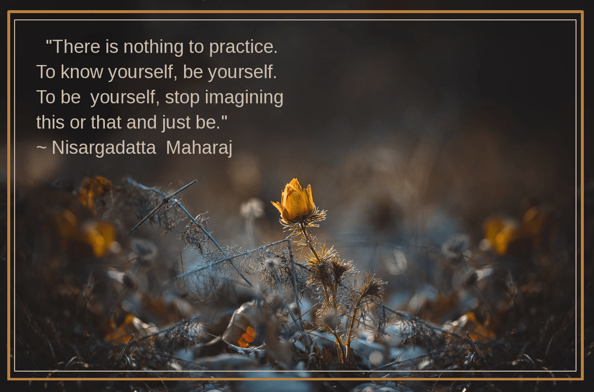 Flower from Tamas Harza