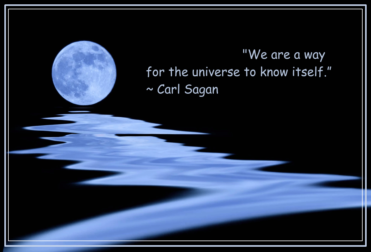 Moonlit from Paula Joyce