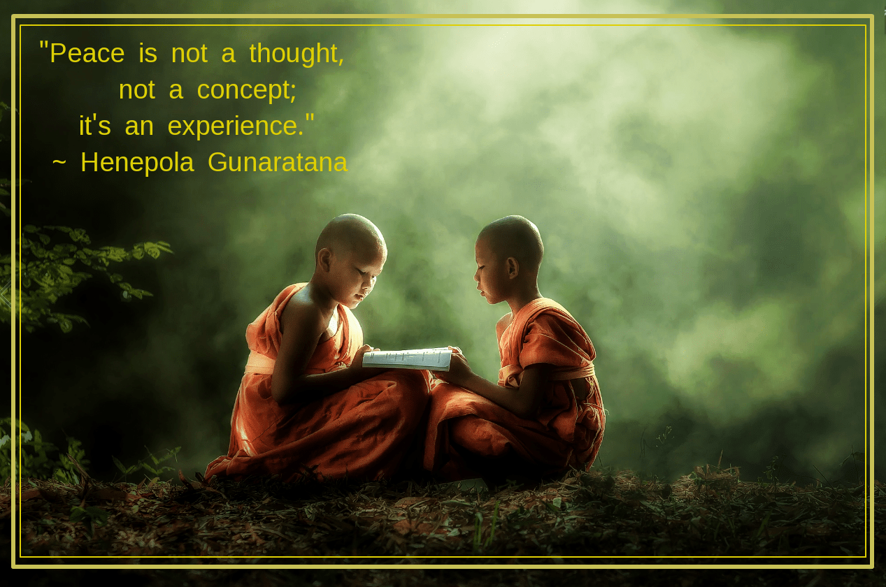 Novices from Jakkree Thampitakkul