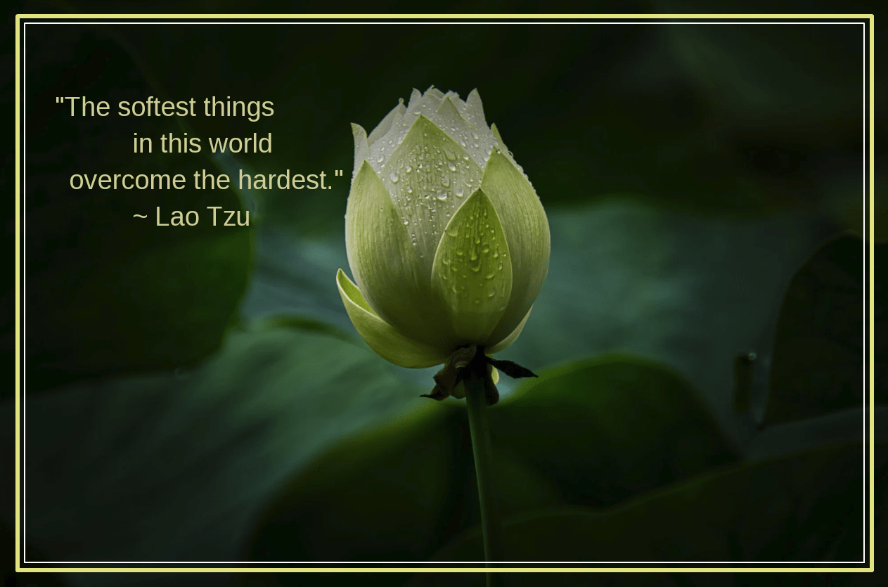 Simplicity from Ma Kun