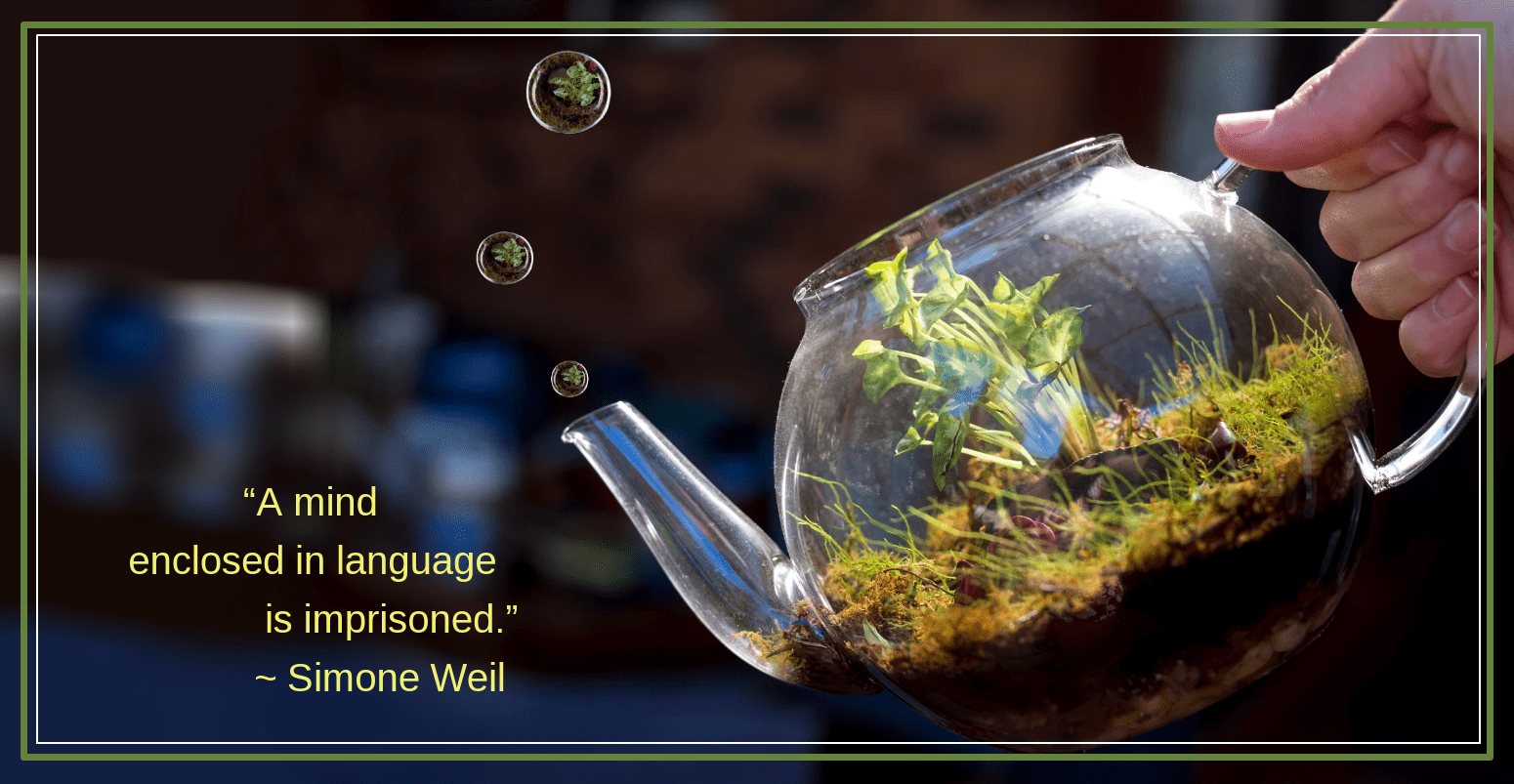 Teapot from Rebecca Tregear