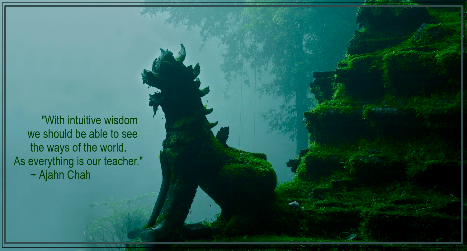 Wat Palad from john spies