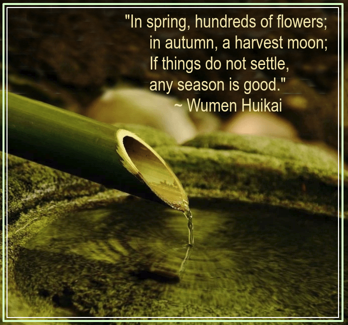 Fountain from Dhruv Chandna