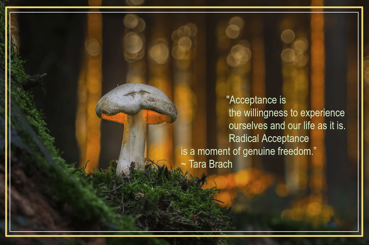 Lantern from Still_shooting_Film