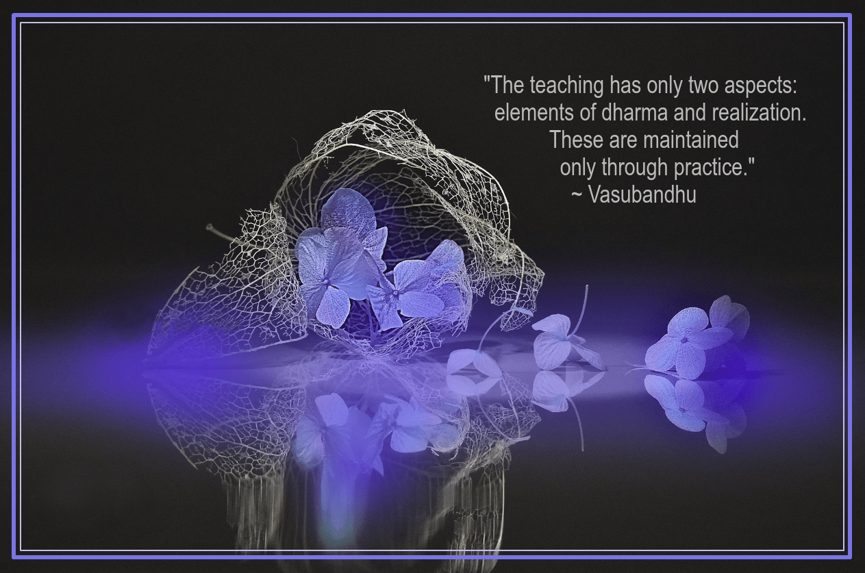 Silence from Amari Pitt